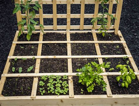 Hvad Er Square Foot Gardening?